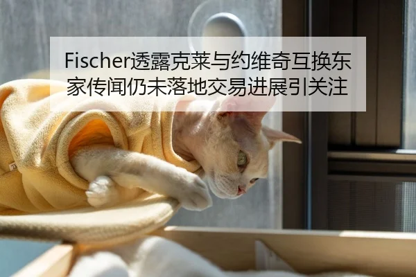 Fischer透露克莱与约维奇互换东家传闻仍未落地交易进展引关注